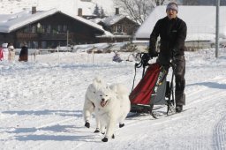 Lenk 2012 SM